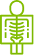 X-rays of bone density icon