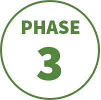 Phase 3 icon